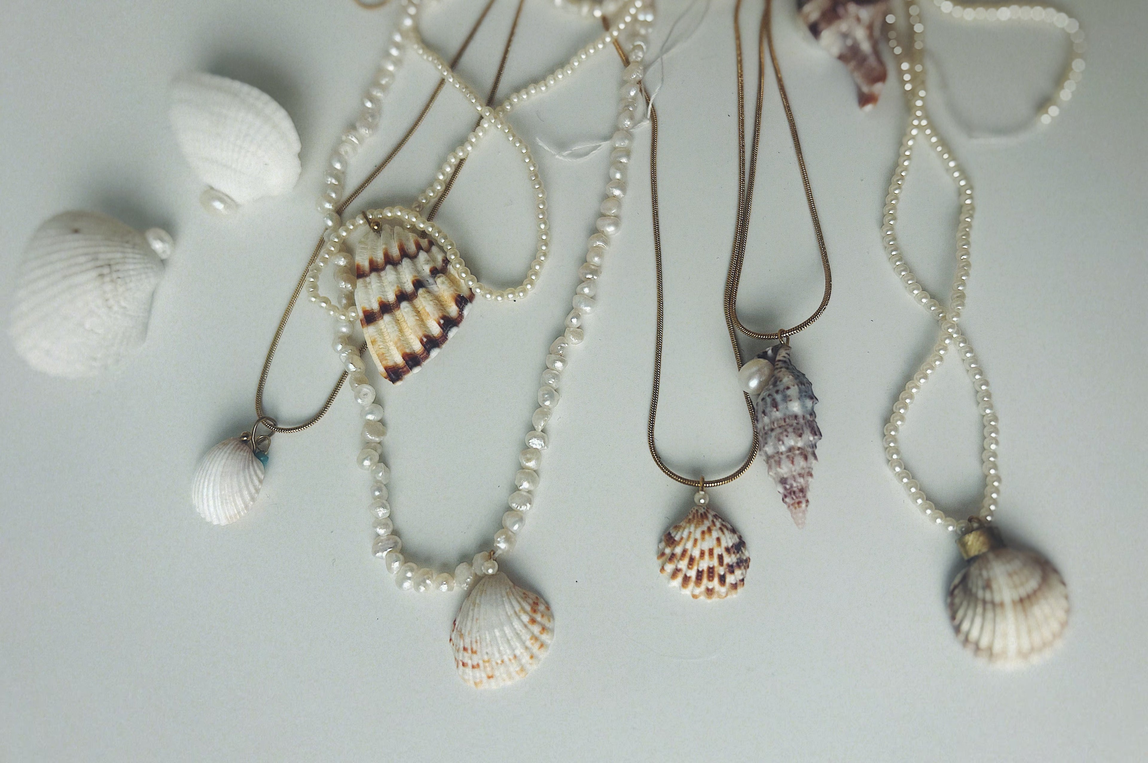 SHELLS
