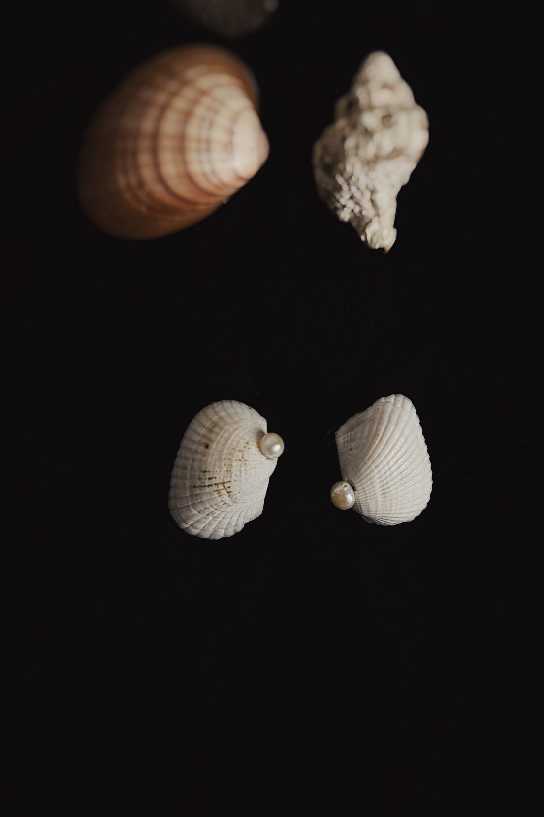 White Poems