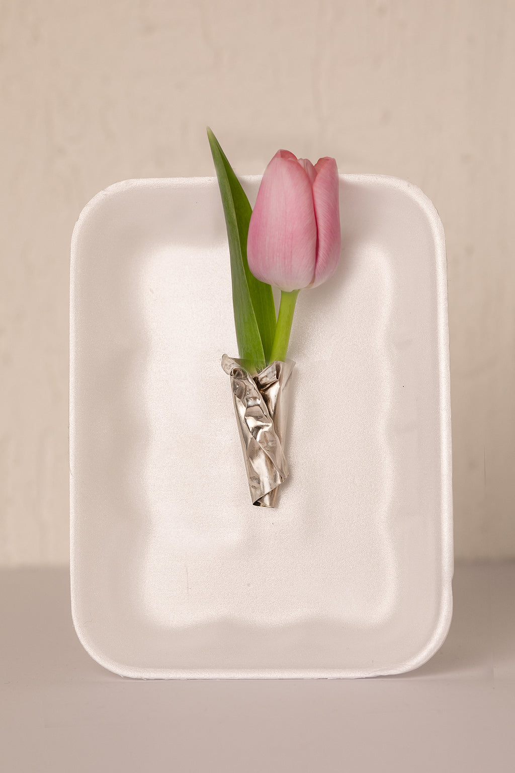 BLOOM like a rose