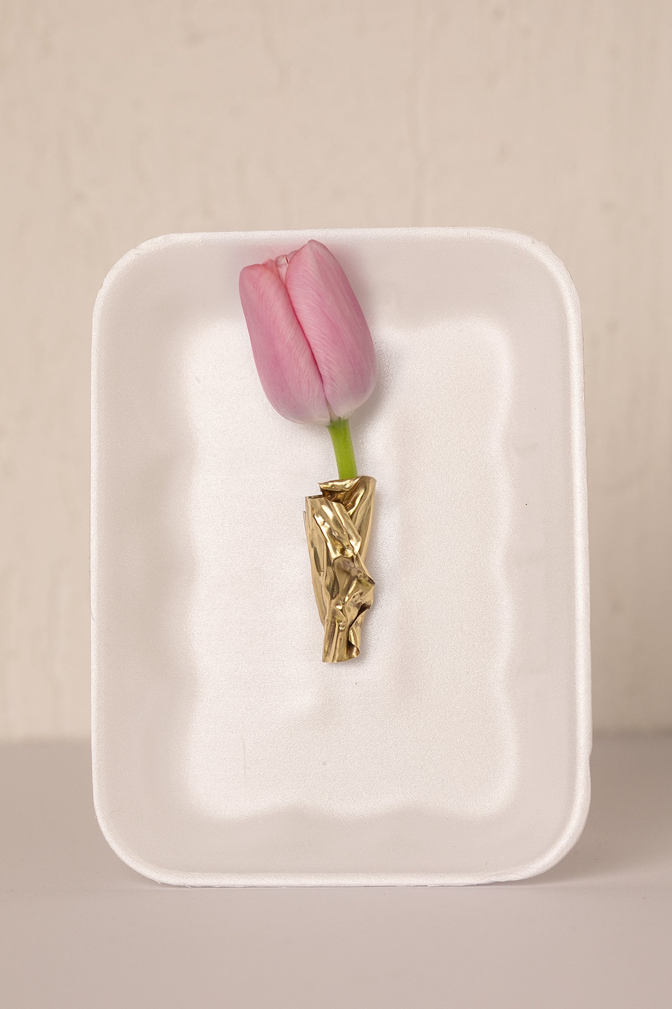 BLOOM like a tulip