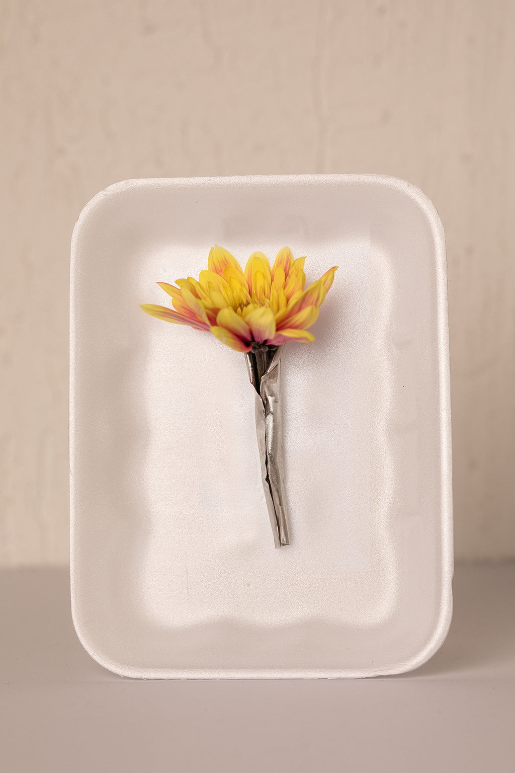 BLOOM like a flower